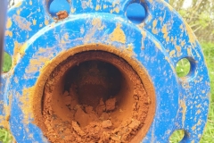 Iron-Related-bacteria-01a-Geoquip-Water-Solutions