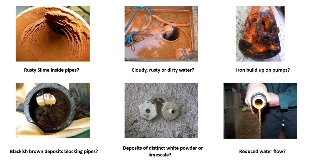 Rusty slime inside pipes, cloudy, rusty water, iron build up on pumps, blackish brown deposits, white powder, limescale, reduced water flow, orange slime